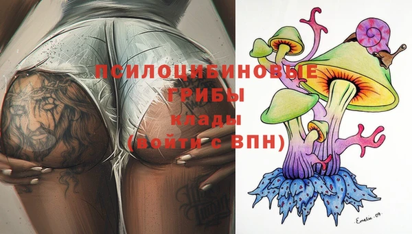 дурь Осинники